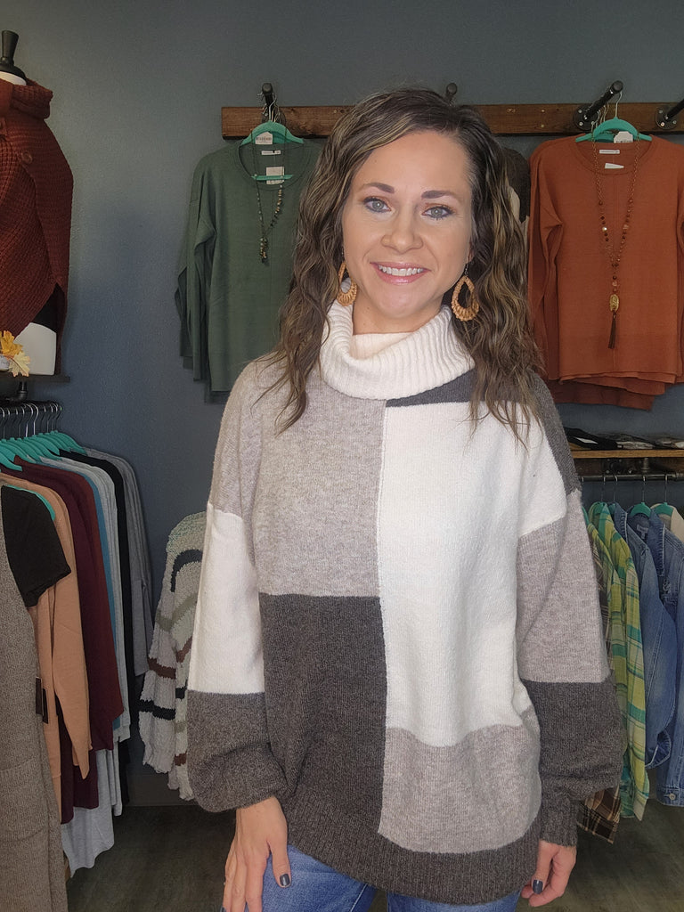 Mocha/Brown Color Block Turtle Neck Sweater