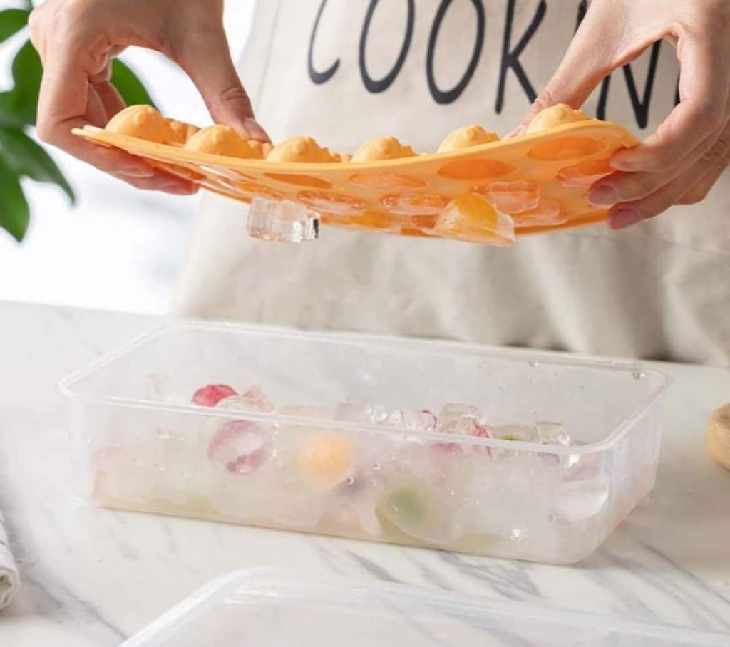 Ice Cube Mold Tray w/ lid