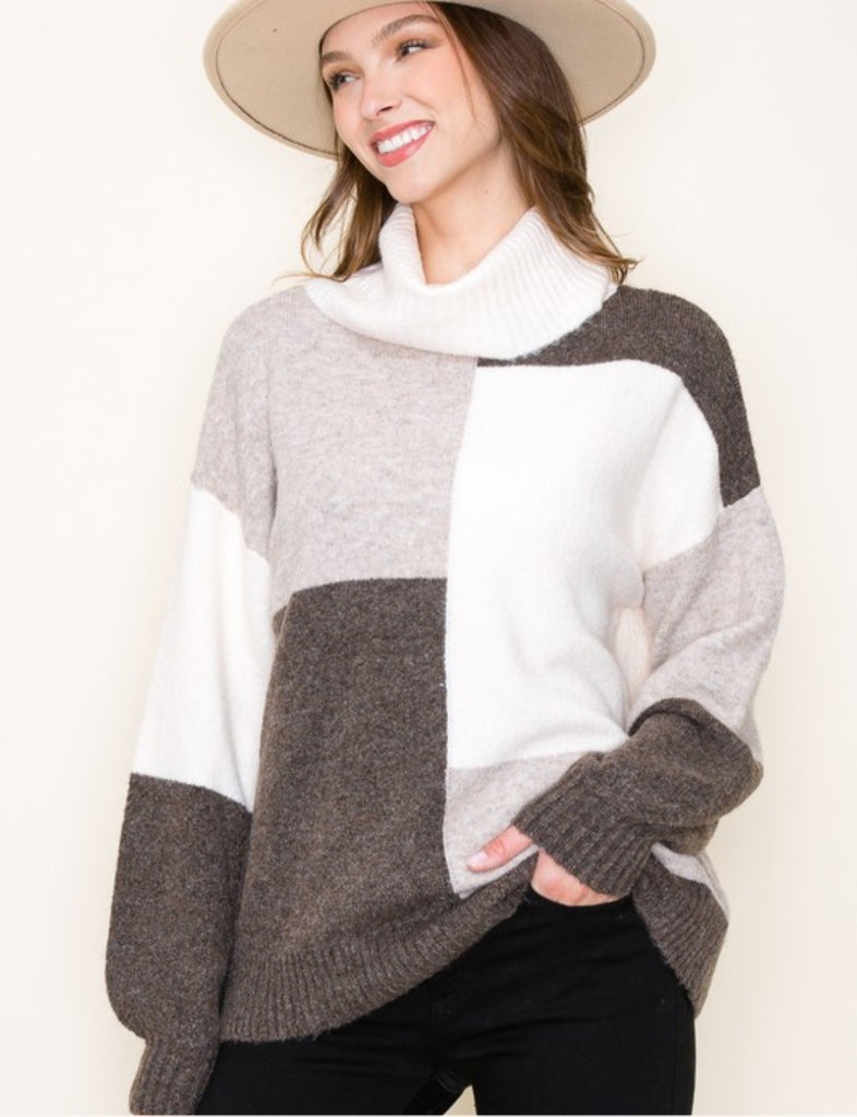 Mocha/Brown Color Block Turtle Neck Sweater